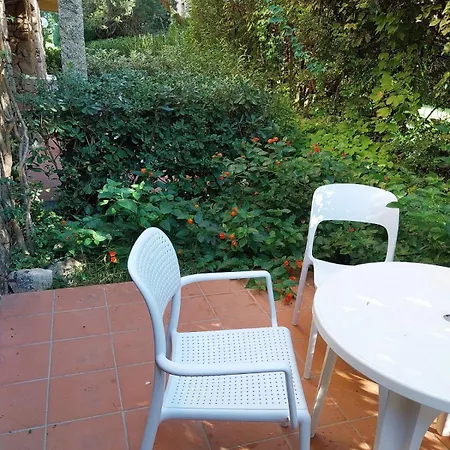 Bouganville * Porto Rotondo